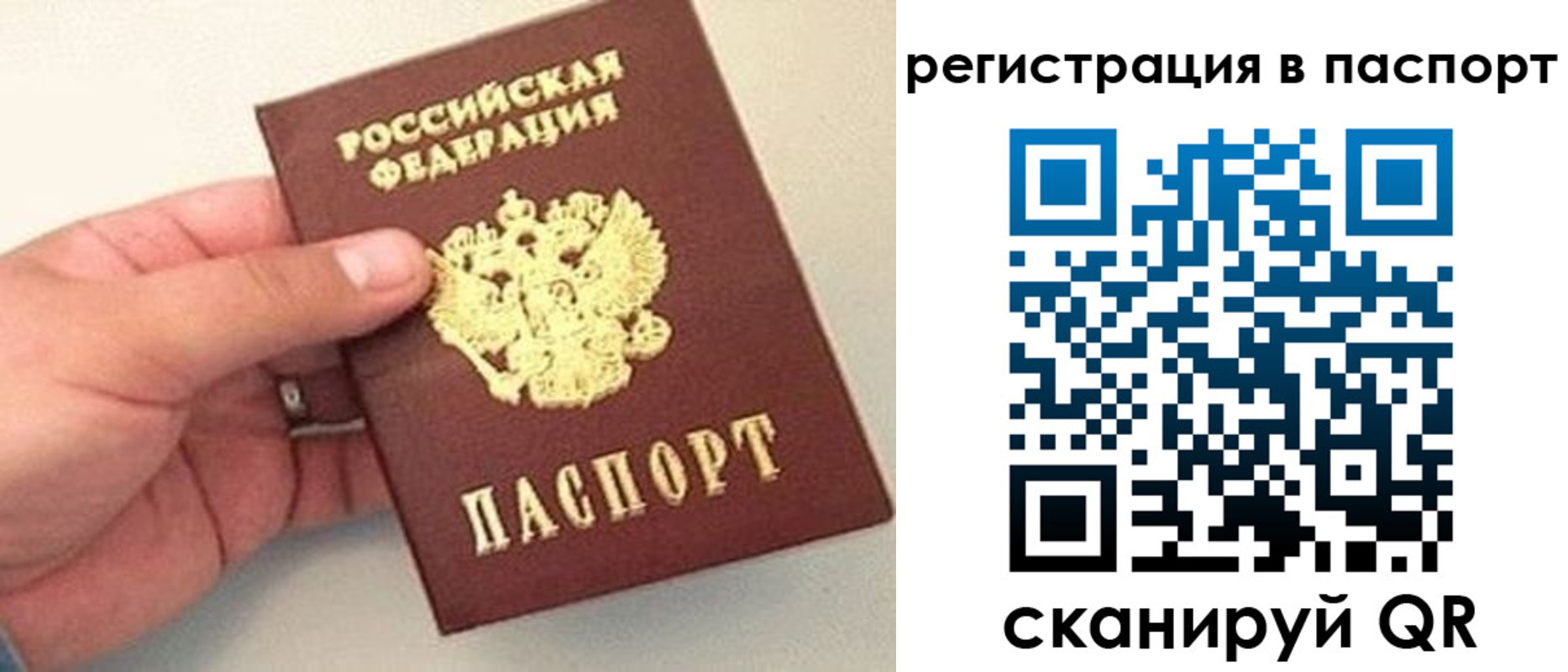 прописка законно в Воронежской области